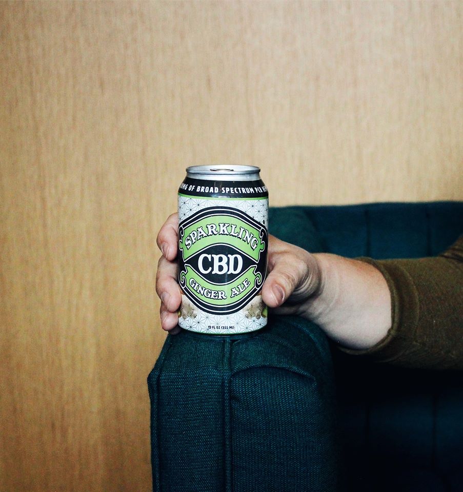 Hand Holding Sparkling CBD Ginger Ale Can on Arm of Blue Couch in Wood Paneled Room