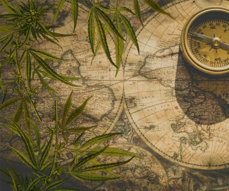 Yellowing ancient map beneath silver compass and plant leaves