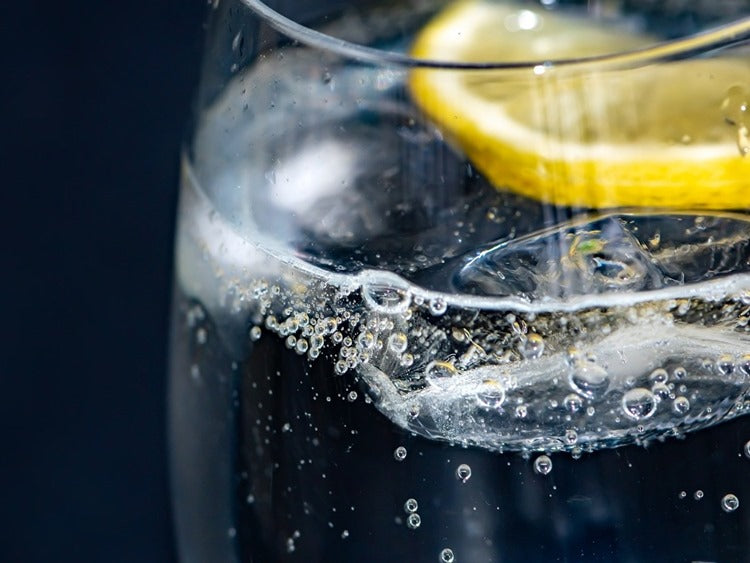 Sparkling water in glass with lemon slice garnish